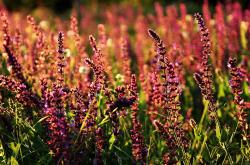 爱游戏tv-当足球预言F1，几内亚碾压波兰之夜，努涅斯在街道赛上演接管艺术