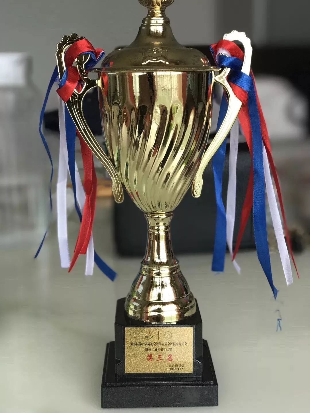 关于立陶宛代表团喜获银牌，团队默契十足的信息