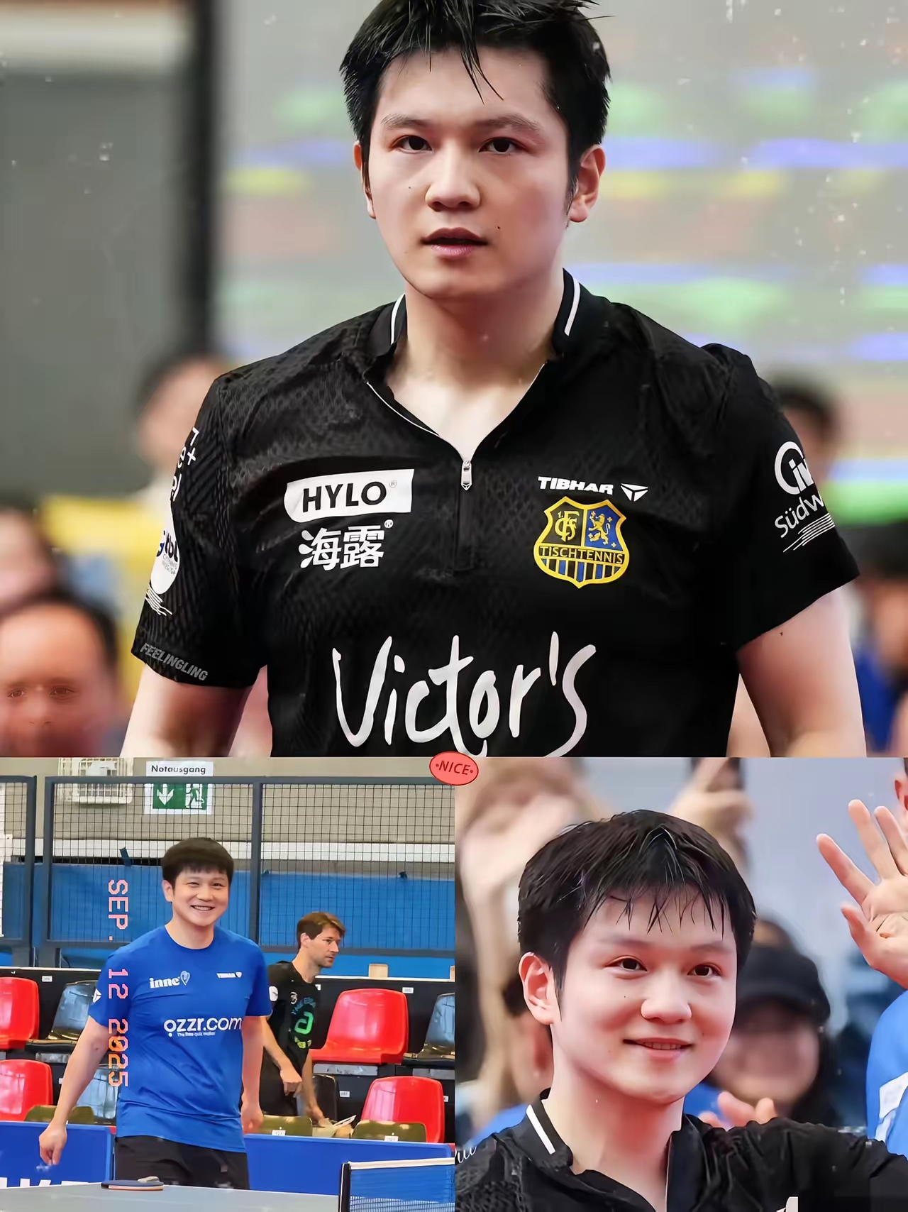 关于德国乒乓球队轻取法国乒乓球队,王皓送出助攻的信息 关于德国乒乓球队轻取法国乒乓球队,王皓送出助攻的信息