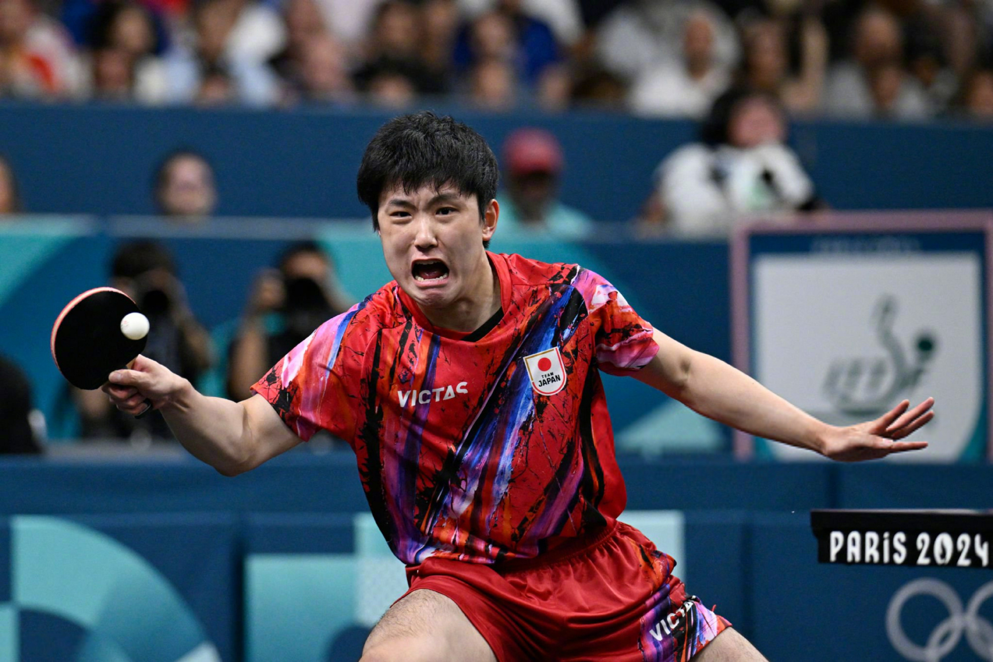 包含波兰乒乓球队强势瑞典乒乓球队，张本智和完成帽子戏法的词条