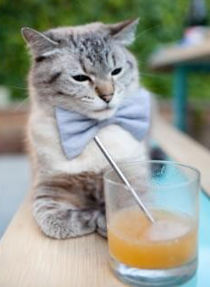 北欧风暴,瑞典抢七战强压比利时,书写冰与火之歌